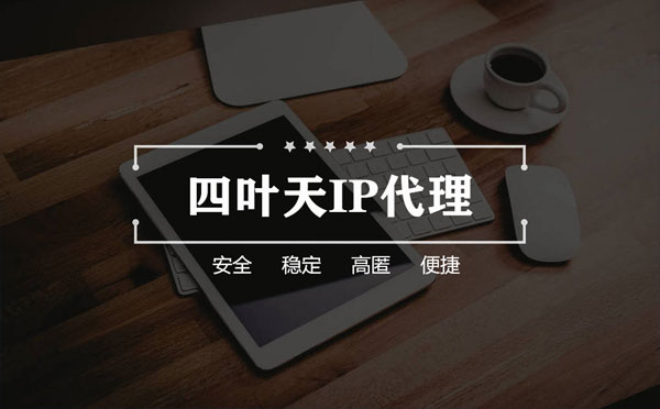 【甘孜代理IP】如何快速搭建代理IP？怎么检查代理的效果？